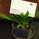 부영로189번길 이미지