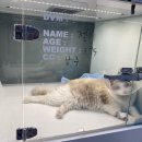 메이 동물병원 이미지