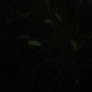 초록빛하루 이미지