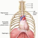 복조리갈비 이미지