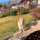 여주-1030 이미지