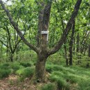 장연리(장수골)노인회관 | 육화산(六花山, 674m)