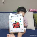 부드러운 아기기저귀추천, 오로라 스킨핏플레이 후기 러버스핏 허니잠 차이