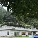 팔현매점 | 남양주 캠핑식당 , 온실 하우스에 에어컨 설치가 모두 되었는 백숙 바베큐 맛집 하이팔현 후기