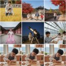 숲해설가와 떠나는 가을 숲 나들이 - 금정산 숲길 탐방 | 아이와 함께 떠나는 9월 양주 가을 여행: 특별한 체험 공간 7선