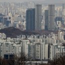 서울인 동아일보