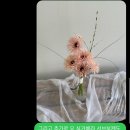 자유도매시장(동구) | [Wedding]봄봄플라워, 범일동 자유도매시장, 부산 부케 후기💐(내돈내산)