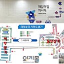 의지몰
