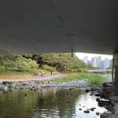 이마트24 김해고점 | 창원 근교 물놀이하기 좋은 계곡 추천｜접근성 좋은 김해 대청교 아래 다녀온 후기