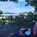 제로그램 파피용 리미티드에디션 오키드 이미지