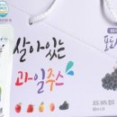 법인솔티 이미지