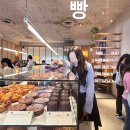 빵터졌네 이미지