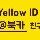 와이렌트카 이미지