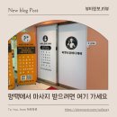 오선토탈바디케어 | 평택아로마 비엣토탈바디케어 고덕마사지 제대로 받은 후기