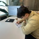 피자메이크 | [결혼준비] W1-2. 웨딩플래너 계약 후기(웨딩봄날, 더블루웨딩, 메이크유어데이 윤소영 실장님o)