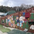 CU 분당이매점 | 분당 유기견 보호소 KK9R 후기