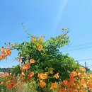 도담셀프주유소 이미지