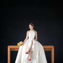 제주하다 이미지