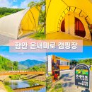 함안군 온새미로 오토캠핑장 이미지