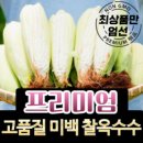 [강원도 산지직송] 생 옥수수 햇옥수수, 1박스, (특품) 옥수수 10개입 이미지