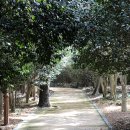 ㈜여수수산시장 | 여행처럼] 여수 여행 2박 3일 - 오동도, 이순신광장, 이순신 버거, 여수수산시장, 구백식당 방문 후기