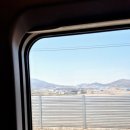 168계단 부대시설 | 부산/시모노세키 여행, 1DAY, 부산역 캐리어 보관, 원조부산밀면, 초량168계단, 부관훼리 수속 후 탑승