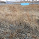 (주)도시개발부동산중개법인 이미지