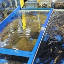 농수산물도매시장 이미지