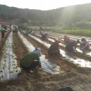 대흥리마을 이미지