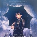 넷패밀리(주) 이미지