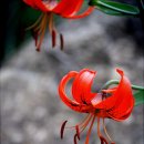 선바우농장 이미지