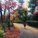 풀내음근린공원 이미지