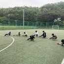 창의와인성태권도
