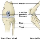 신탄진 동물병원 이미지