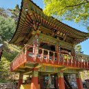 대사동로 이미지