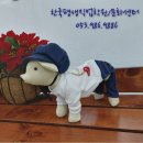 중앙미싱 이미지