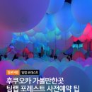 꽃이 피고 비가 내리면 | 일본 후쿠오카 가볼만한곳 추천 팀랩 포레스트 예약, 가는 길, 관람 후기 총정리