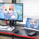 스마트독까페 | 듀얼, 서브로 쓰기 좋은 15인치 휴대용 모니터 일렉싱크 S15A 후기