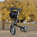 행복드림복지용구 | 단풍놀이 할머니 보행기 추천! 원주 반계리 은행나무도 거뜬한 스피릿 X4 카본 보행기 솔직 후기