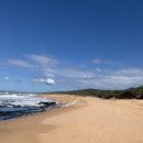 사우스코스트 이미지