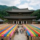 금강물물 | 구례 화엄사 부처님오신날 2026 완벽 가이드 — 지리산 대가람 연등과 화개장터 5월 신록 연계 코스