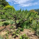 설구산방 이미지