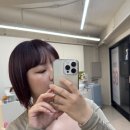 쎄이헤어 이미지