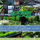 아쿠아갤러리 대구점