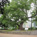 창리마을 이미지