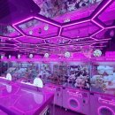 핑키펑키 이미지