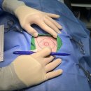 덕소동물병원 이미지