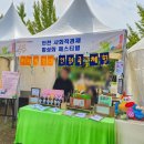 인천 드림파크 국화축제 가을꽃구경 후기 개화상태 체험부스 먹거리