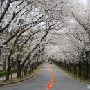 호암유치원 이미지