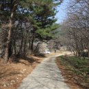 당지농장 Daum카페